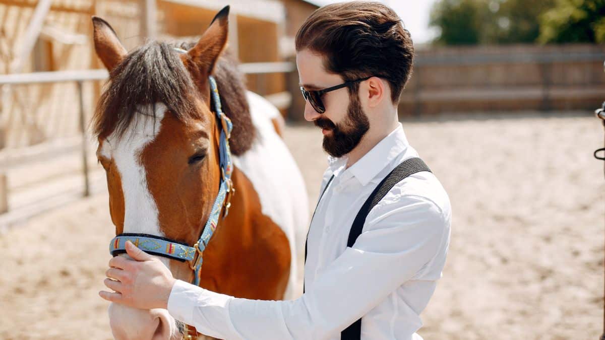 Best Sunglasses for Horseback Riding