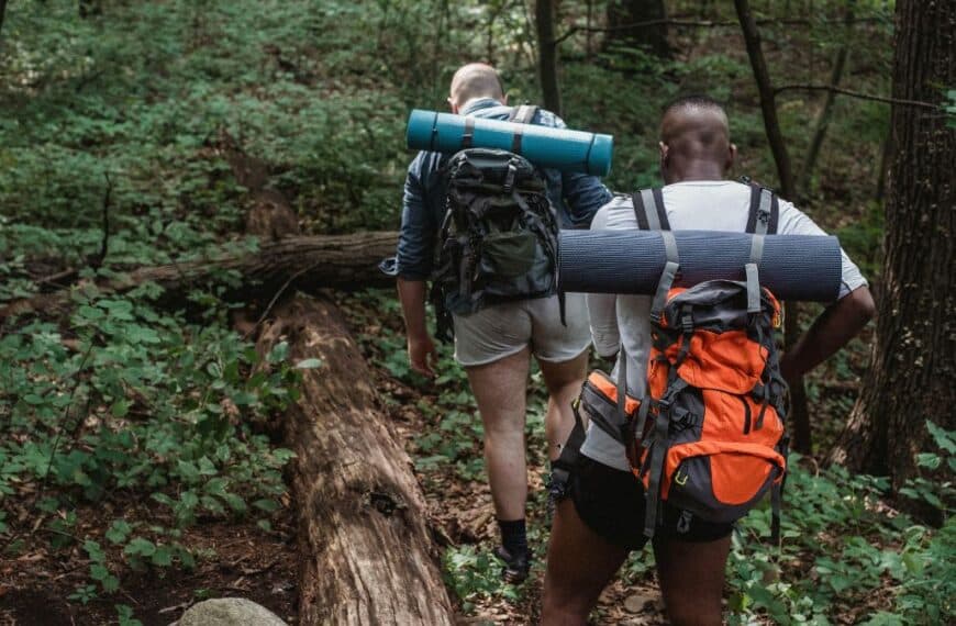 Men hiking through forest