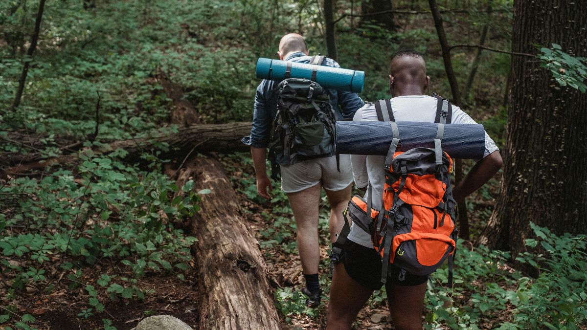 Men hiking through forest